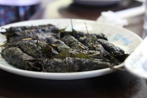 527190_1993213309990_1553316963_n